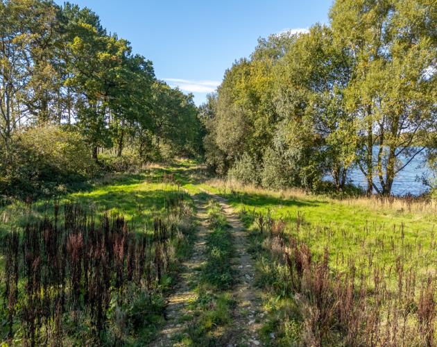 Development Opportunity