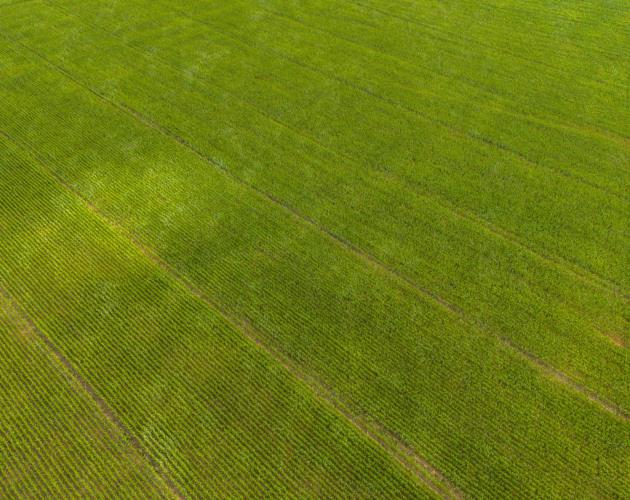 Agricultural Land At Greenhedge Farm