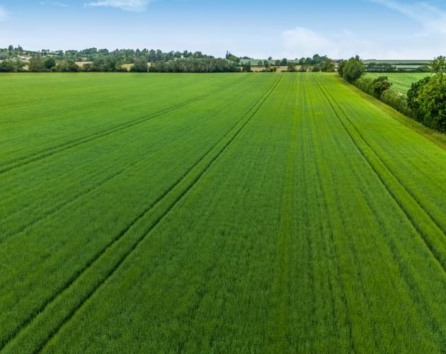 Land At Lower Road