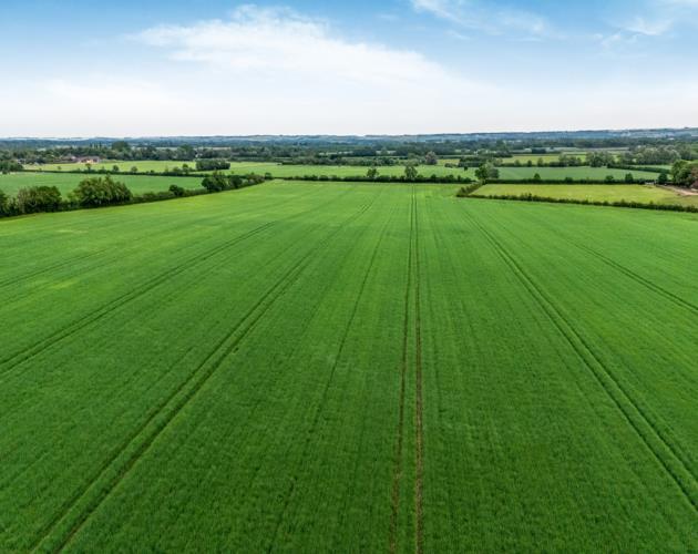 Land At Lower Road