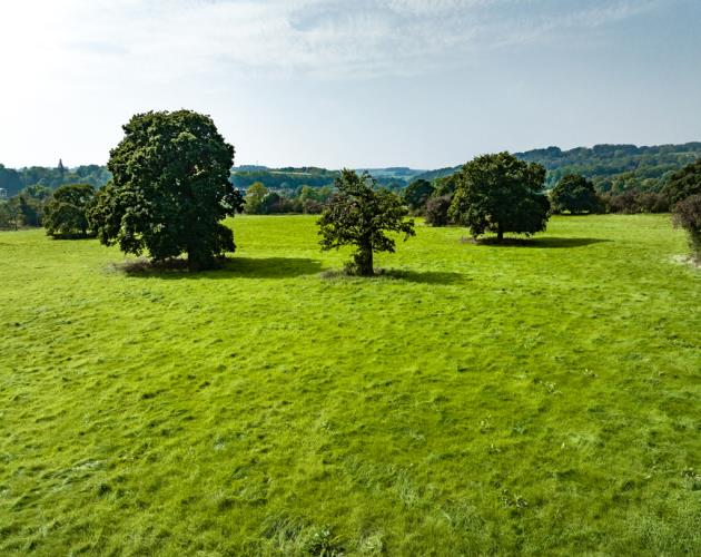 Lodge Hill Farm