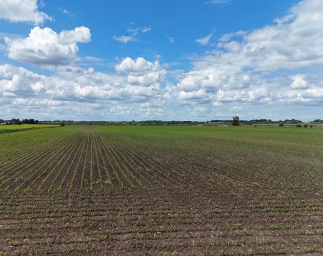 201.26 Hectares (497.34 Acres)