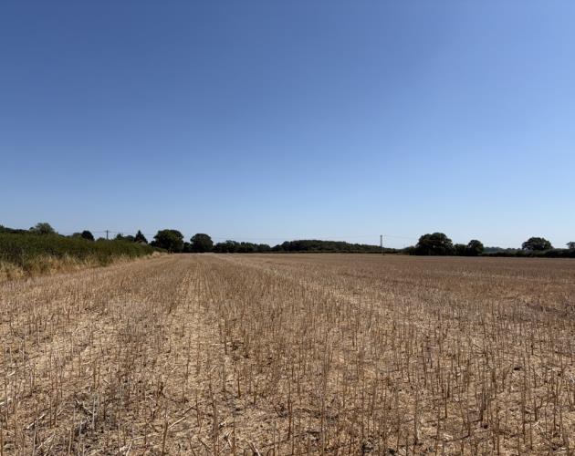 Land At Sparham