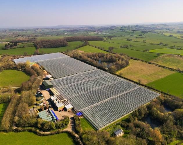 Bradon Nursery