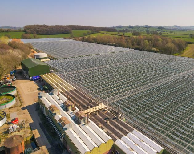 Bradon Nursery