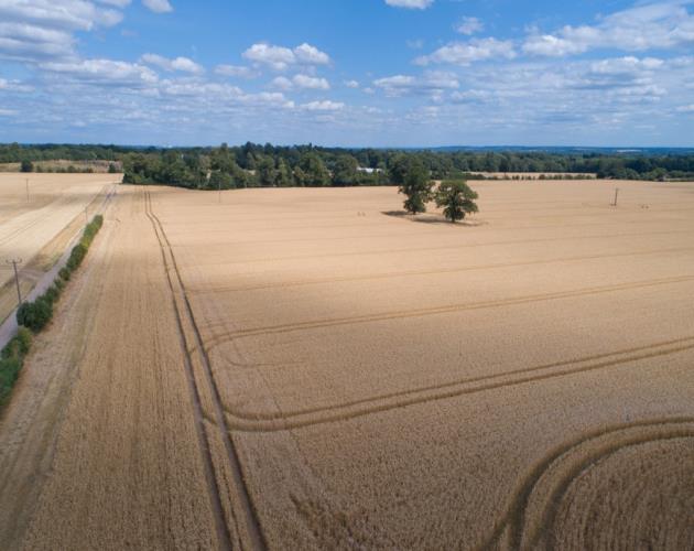 Stubbings Farm