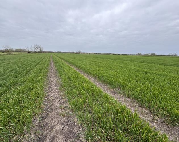 Arable Land At Coveney - Lot 2