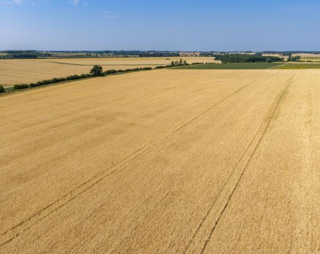 Land At Sweethill Farm