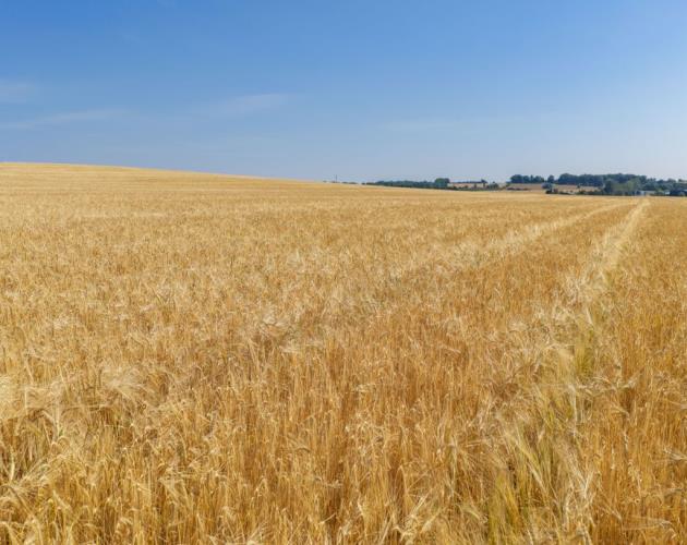 Land At Sweethill Farm