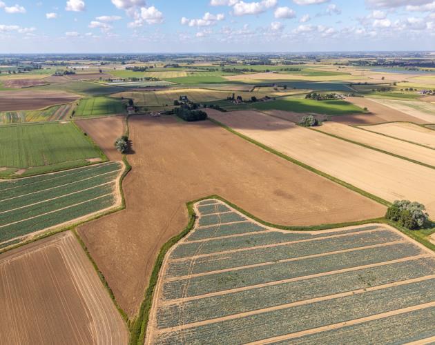 21.61 Acres (8.75 Hectares)