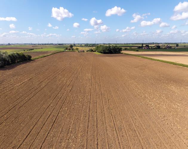 21.61 Acres (8.75 Hectares)