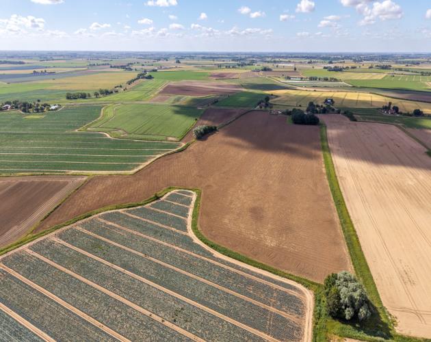 21.61 Acres (8.75 Hectares)