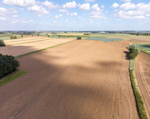 21.61 Acres (8.75 Hectares)