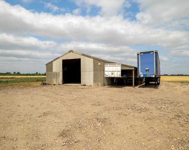 Stan White Farms