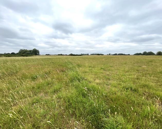 Lot 2- Pasture Land At The Corkerets