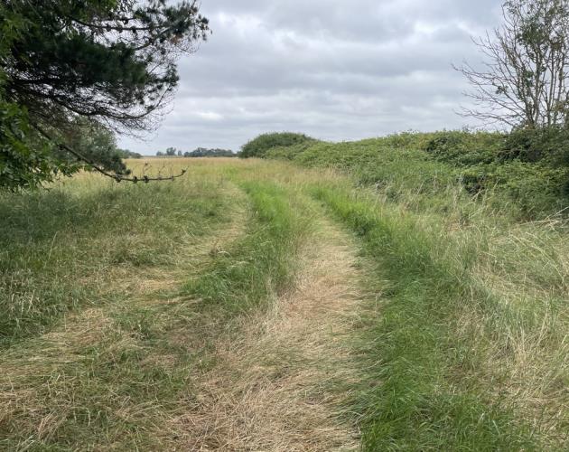 Lot 2- Pasture Land At The Corkerets