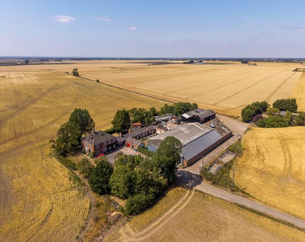Stan White Farms