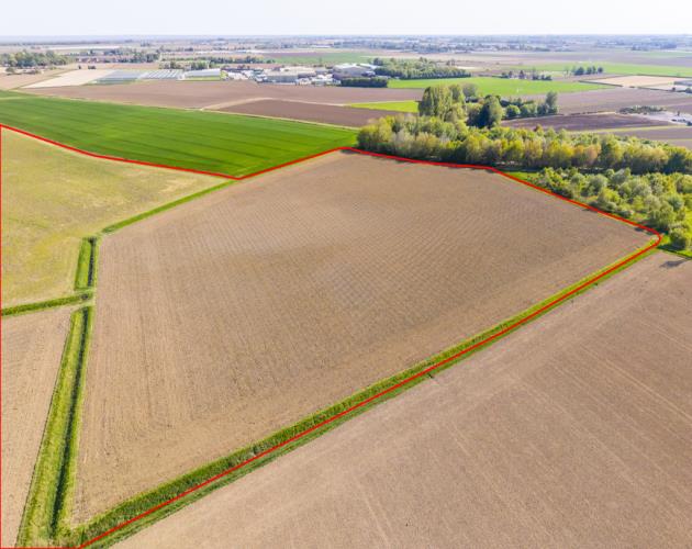 Land At Lacey's Lane