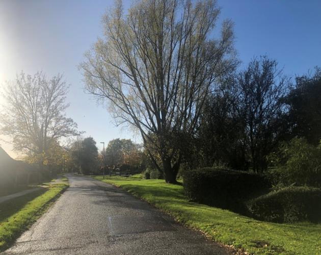 Land at Potton End