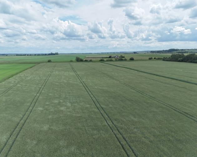 201.26 Hectares (497.34 Acres)