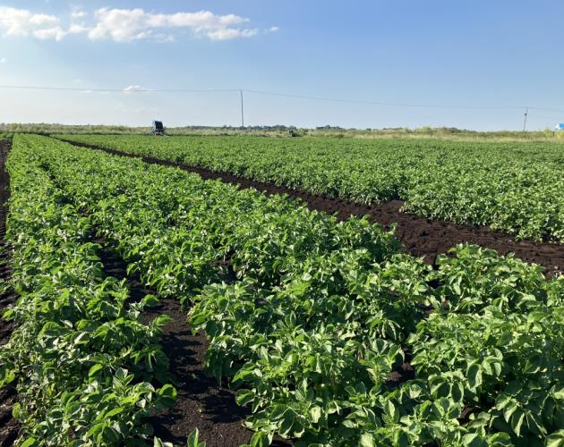 201.26 Hectares (497.34 Acres)