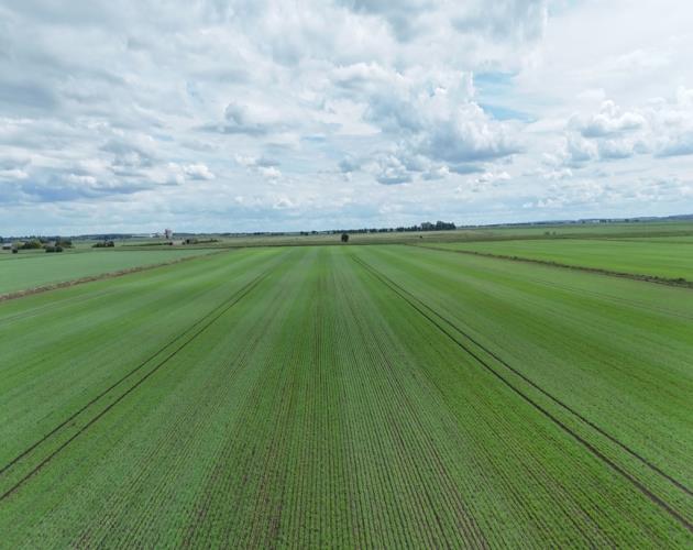 201.26 Hectares (497.34 Acres)