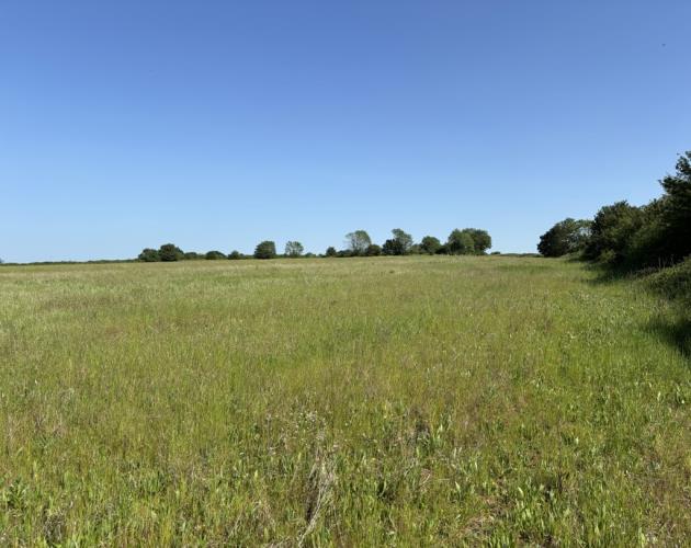 Grassland Off Jolly's Way
