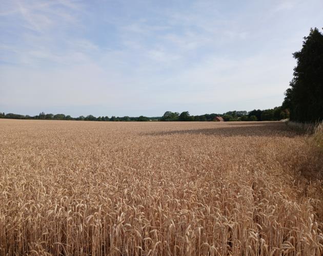 Land Off Heath Lane