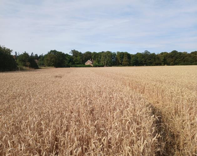 Land Off Heath Lane