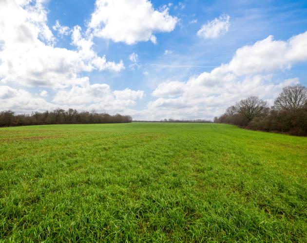 50.68 Acres