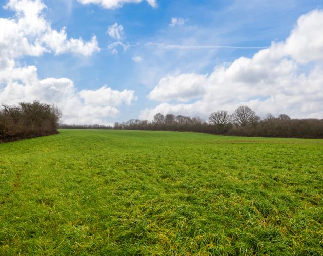 50.68 Acres