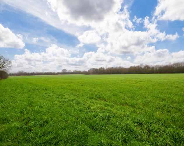 50.68 Acres