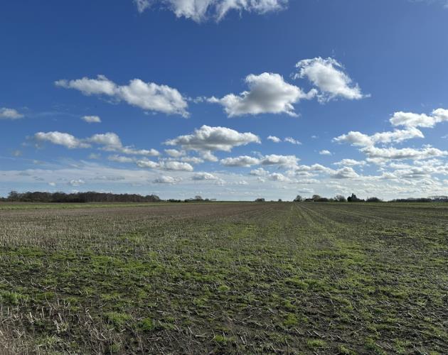 Lot 3 - 48.29 Hectares (119.33 Acres)