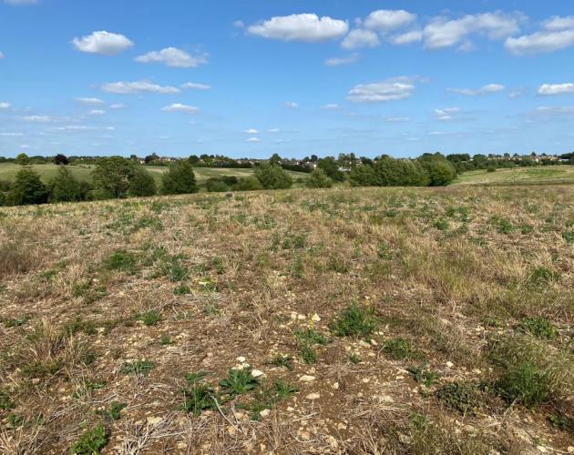Lot 1- Arable Land Off Alvescot Road