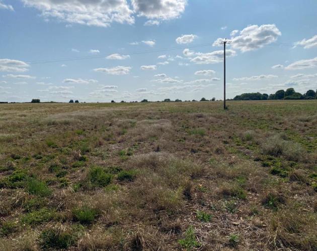 Lot 1- Arable Land Off Alvescot Road
