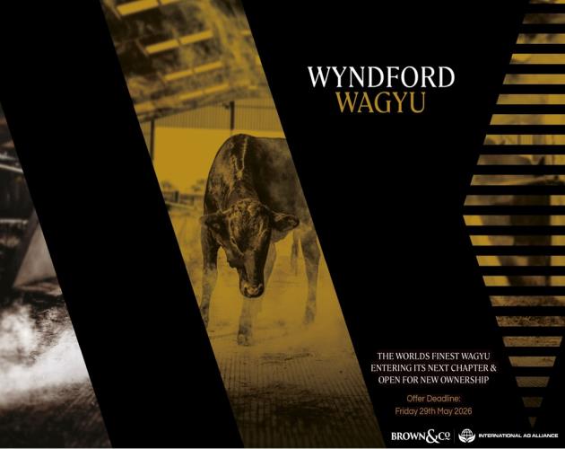 Wyndford Wagyu