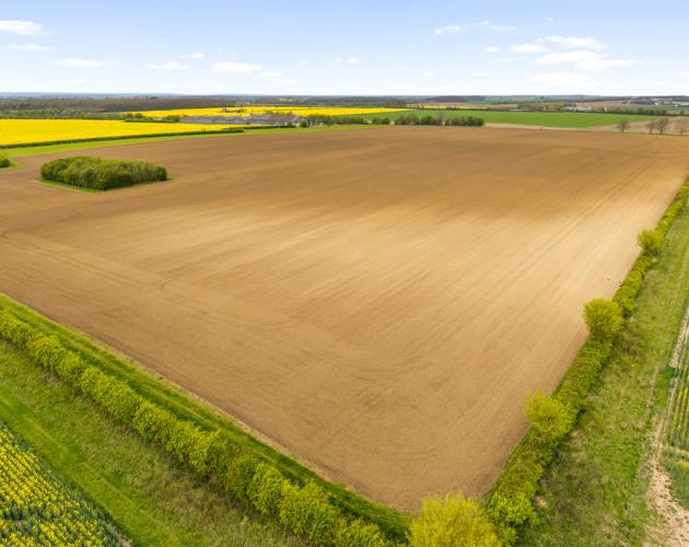Land At Poolham Lane