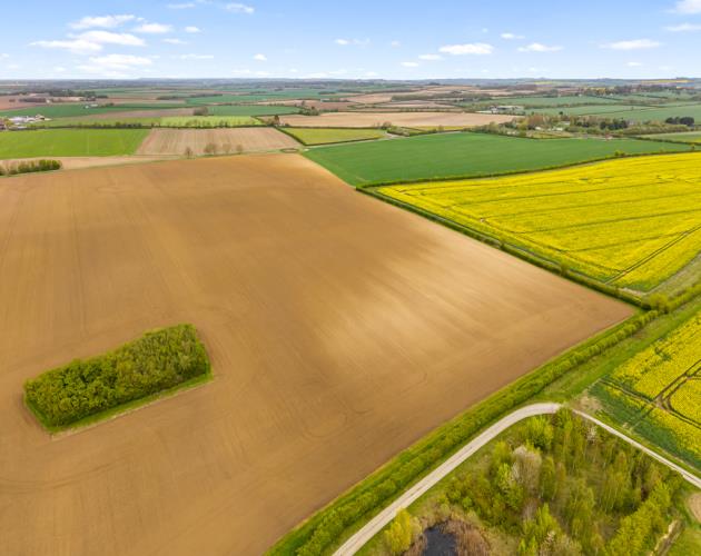 Land At Poolham Lane