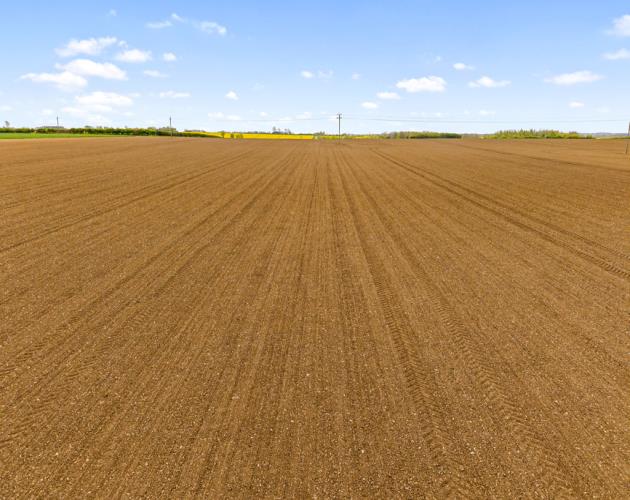 Land At Poolham Lane