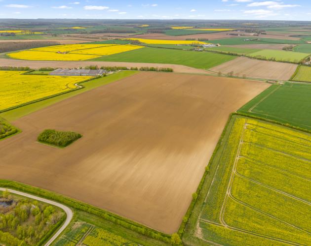 Land At Poolham Lane