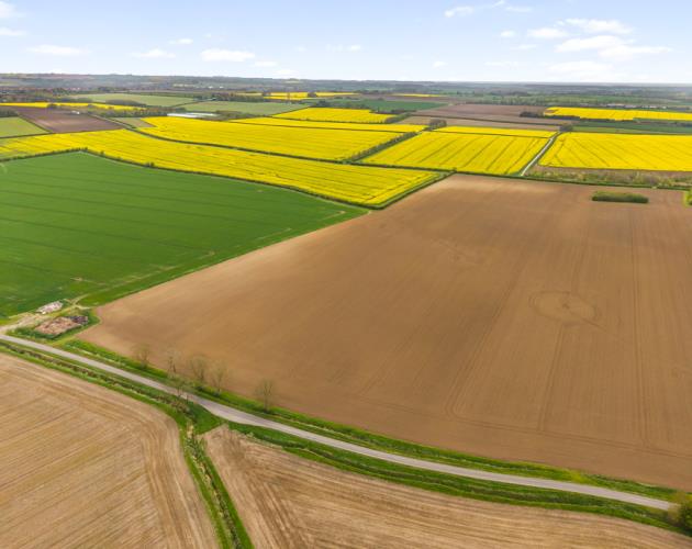 Land At Poolham Lane