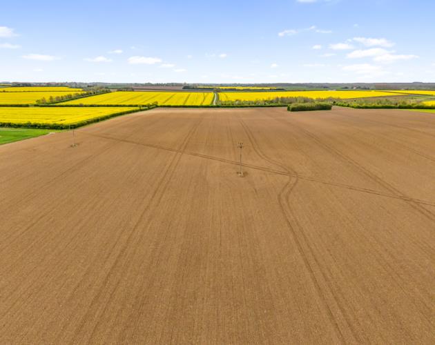 Land At Poolham Lane