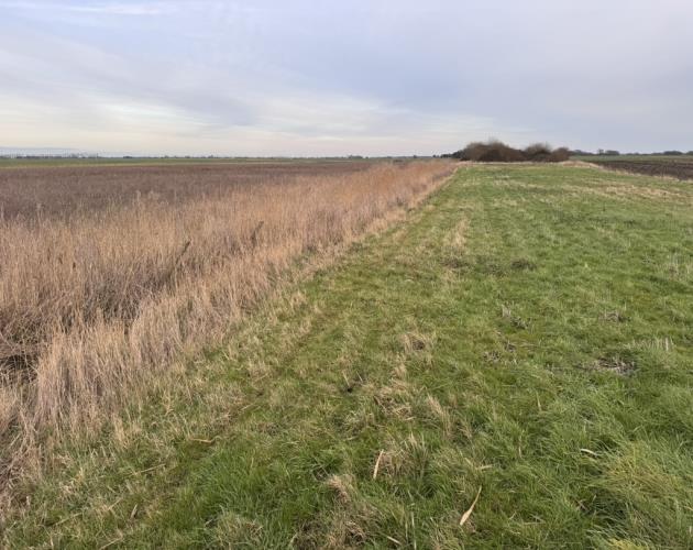 2.82 Acres Of Land