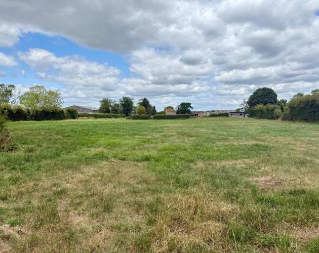 Paddock At Cote
