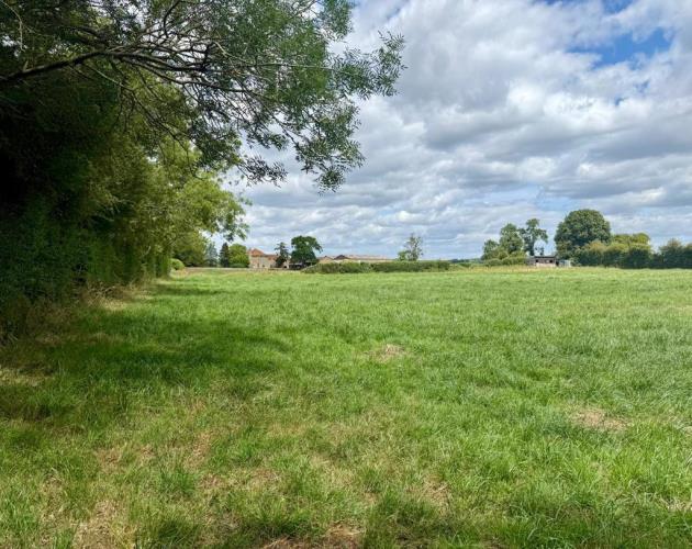 Paddock At Cote