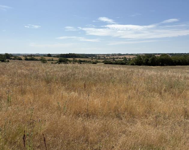 Land On The South Side Of Banbury Lane