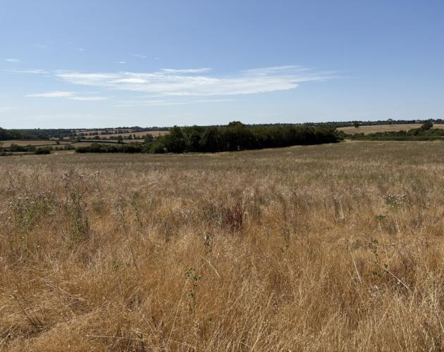Land On The South Side Of Banbury Lane