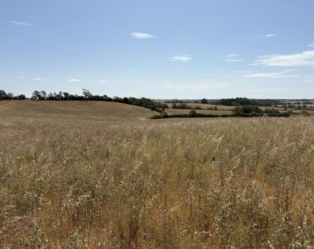 Land On The South Side Of Banbury Lane