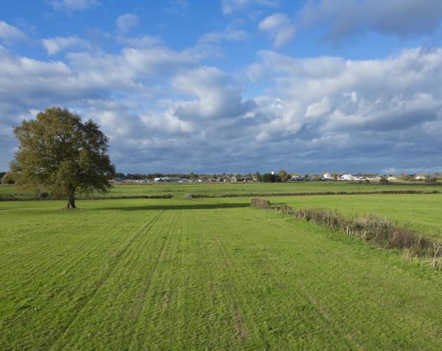 Manor Farm