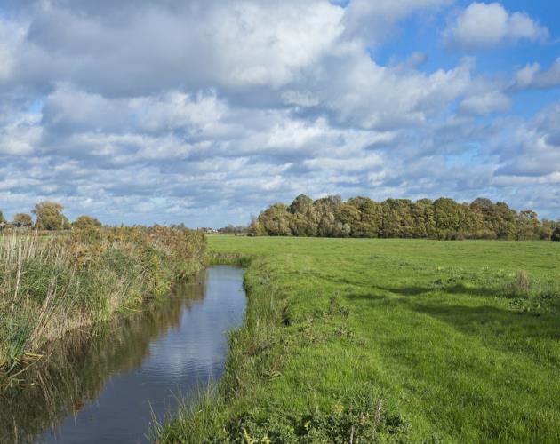 Manor Farm